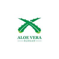 Green plant aloe vera logo vector icon symbol many benefits