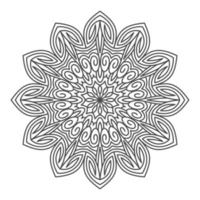 elegant and unique mandala ornaments vector