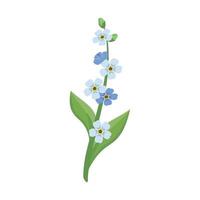 Small blue forget me not flowers with stems and leaves. Field flowering plants. Romantic decoration for wedding and design. Vector flat illustration