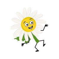 Chamomile character with happy emotion, joyful face, smile eyes, arms and legs. Person with funny expression, daisy flower hero. Vector flat illustration