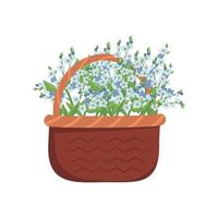 Little blue flowers forget me not with stems and leaves in basket. Bouquet of flowering field plants. Romantic decoration for wedding and design. Vector flat illustration