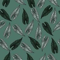 Engraving leaf araceae seamless pattern. Vintage leaves background. vector