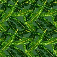 Abstract banana leaf seamless pattern. Camouflage background of tropical leaves. vector