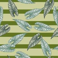 Engraving leaf araceae seamless pattern. Vintage leaves background. vector