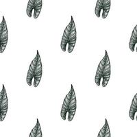 Engraving leaf araceae seamless pattern. Vintage leaves background. vector