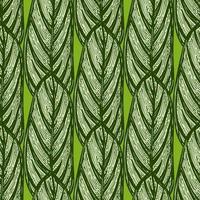 alocasia deja un patrón sin costuras. rama tropical vintage en estilo de grabado. vector