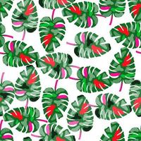 Abstract monstera leaves tropical seamless pattern. Rainforest background. vector