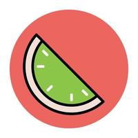 Trendy Watermelon Concepts vector