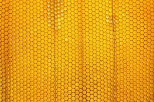 panal de abejas lleno de miel dorada foto