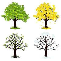 ilustración de un árbol en las cuatro estaciones. vector