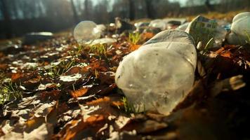 Transparent plastic bottles lie in pile of garbage on yellow fallen leaves in park polluting environment closeup slow motion video