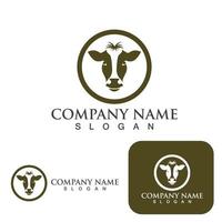 Cow head and  logo vector template