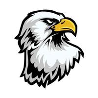 mascota de cabeza de águila en estilo de dibujos animados vector