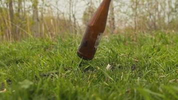 Empty glass beer bottle with frayed label falls on green grass of park against trees polluting planet environment closeup slow motion video