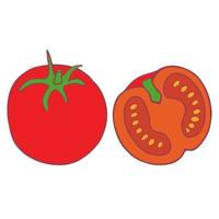 Hand drawn doodle vector isolated tomato, great design for any purposes.