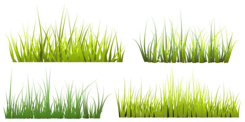 grass isolated on white background. vector meadow free