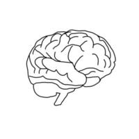 Brain Idea Bright Health Anatomy Biology Doodle vector