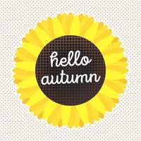 Hello autumn vector banner or poster gradient flat style design vector illustration. Huge sunflower with text isolated on fun background.