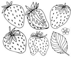 Strawberry fresh berry. Leaves, leaf, plant, half, slice, seeds. Graphic vector set. Isolated on white background. Hand-drawn collection. Black-white. Engraving. Outline illustration. Coloring book.