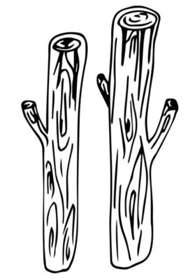 wooden log hand drawn set