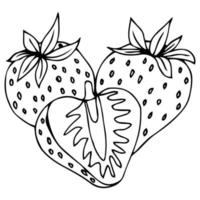 Strawberry Outline - Vector Three fruit black