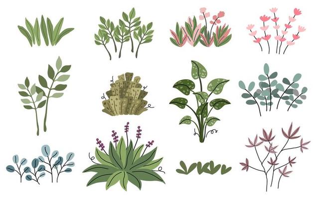 Free plant - Vector