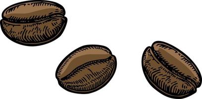 painted coffee beans, sketch, vector drawing, perfect ingredient, choice grain