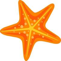 Starfish in flat style. Marine icon in cartoon style vector