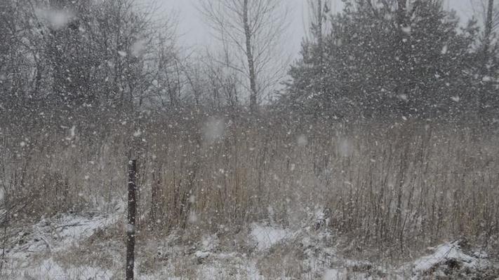 大風雪影片