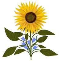 ilustración vectorial aislada de girasol y pequeñas campanillas. vector