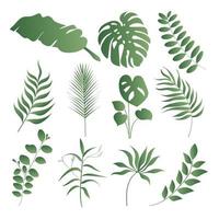 Green abstract gradient tropical leaves element composition vector