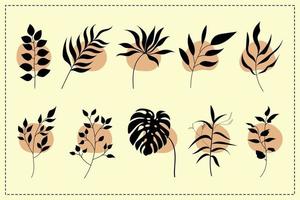 set of vector hand draw floral element decorative