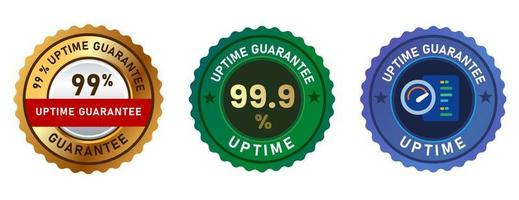 garantía de tiempo de actividad 99 por ciento servidor web hosting red emblema sello distintivo adhesivo en oro azul y verde vector
