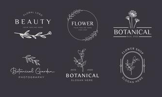 Set of Botanical Floral element Hand Drawn Logo with Wild Flower and Leaves. Logo for spa and beauty salon, boutique, organic shop, wedding, floral designer, interior, photography, cosmetic vector