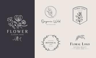 Set of Botanical Floral element Hand Drawn Logo with Wild Flower and Leaves. Logo for spa and beauty salon, boutique, organic shop, wedding, floral designer, interior, photography, cosmetic vector