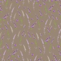 Seamless pattern with lavender. Vector illustration. Background for packaging, textiles, printing products.