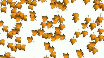 uma ilustração em vídeo de folhas caindo. adequado para mídia social de tema de outono
