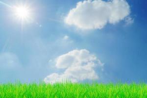 Grass field and sky with bright clouds for the background in the project. photo