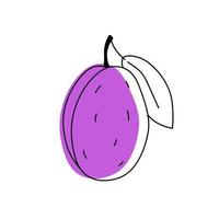 Doodle outline plum with spot. Vector illustration for packing.