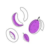 Set doodle prunes plum outline with spots. Whole, pieces, and leaves. vector