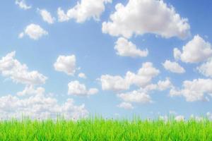 Grass field and sky with bright clouds for the background in the project. photo