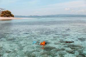 Tourists snorkeling on the transparent sea water photo