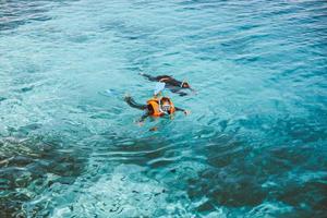 A woman tourists is swimming on the transparent sea