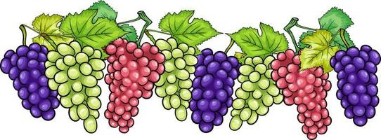 racimos de ilustración de dibujos animados de frutas de uvas vector