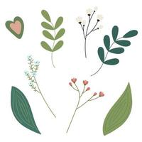 Botanical set of twigs, leaves and an abstract figure in the shape of a heart. vector