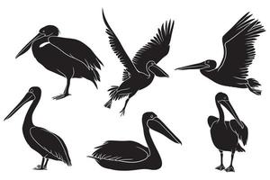 hand drawn silhouette of pelican vector