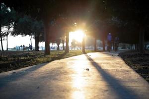 Sun glare and tree shadows reflecting on the walkway through the trees photo