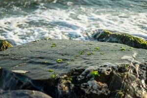 Shiny rocks and crashing waves by the sea with sun glare and seaweed