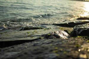 Shiny rocks and crashing waves by the sea with sun glare and seaweed photo