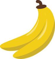 design banana fruit vector